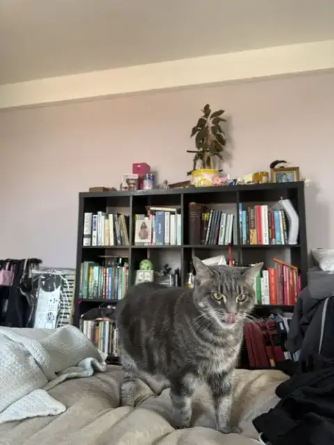 Gerty photo 2