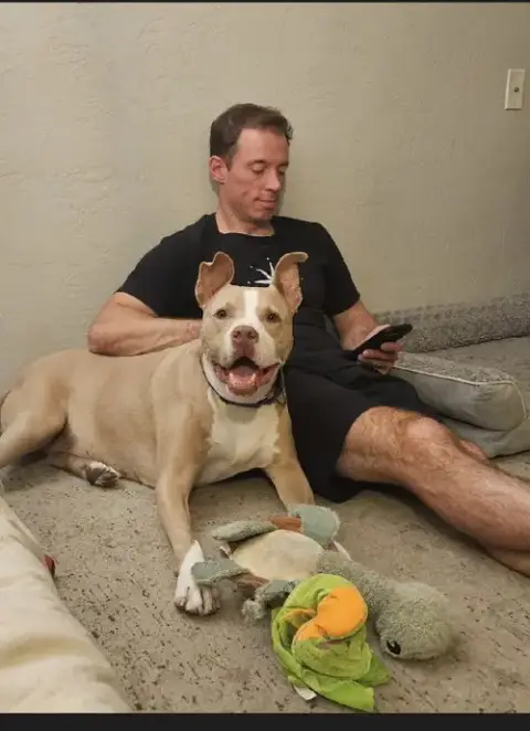 Canelo photo 3