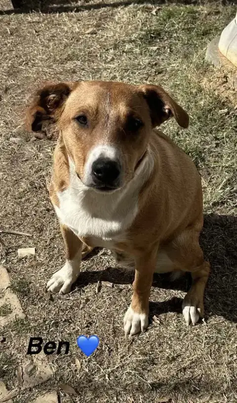 Ben
