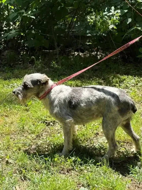 Cynthia photo 4