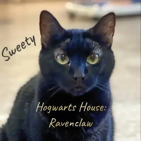 Sweety