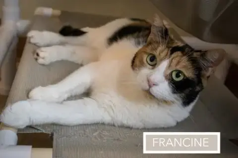 Francine photo 2