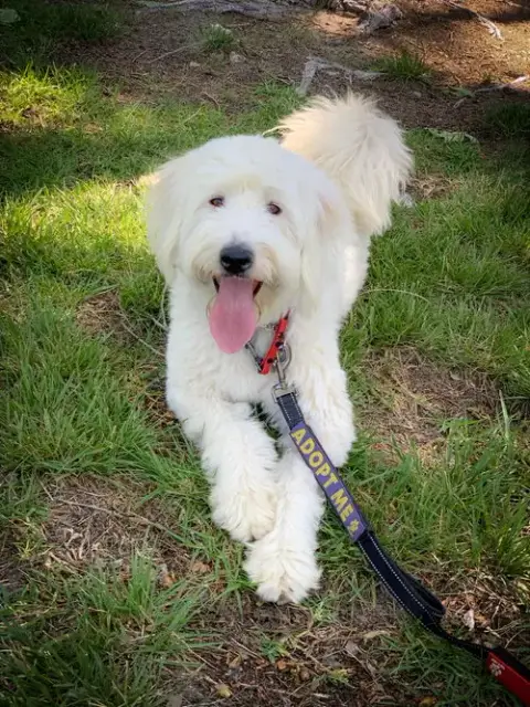 Molly photo 2