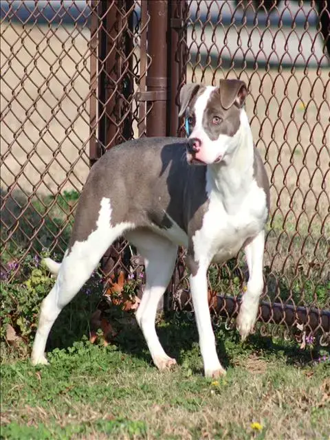Sadie