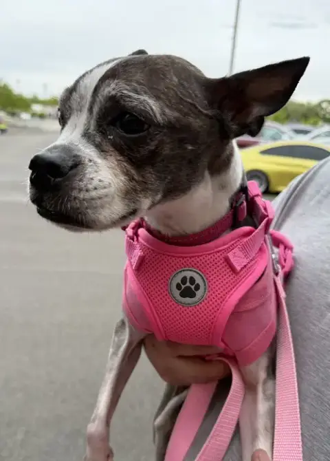 Annabelle photo 3
