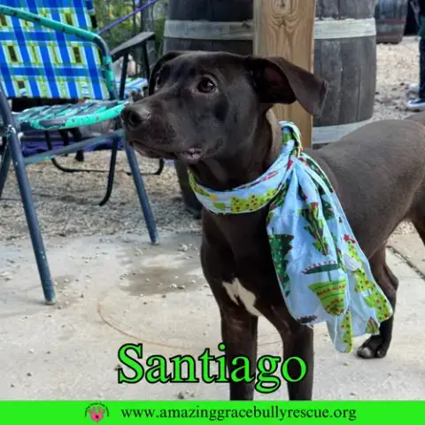 Santiago photo 4