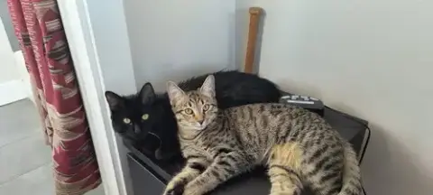 Fiona & Sasha photo 2