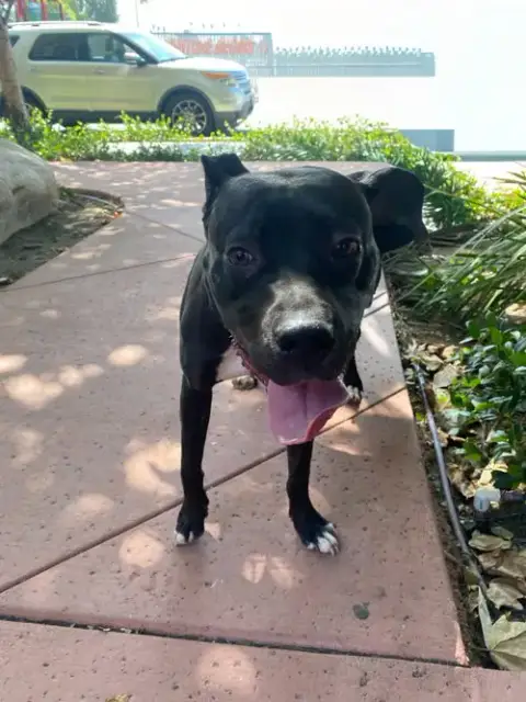 Lucy photo 3