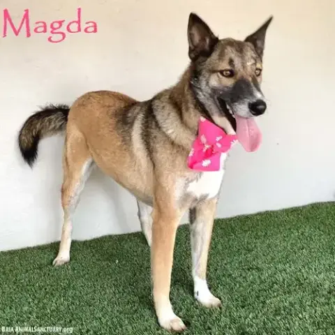 Magda