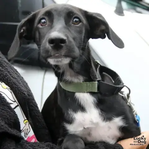 Pablo photo 2