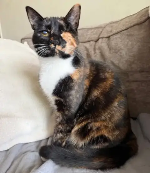 Ella photo 2