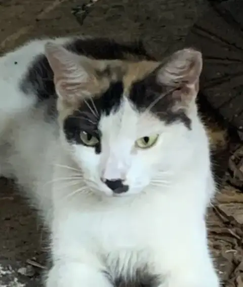 Olivia