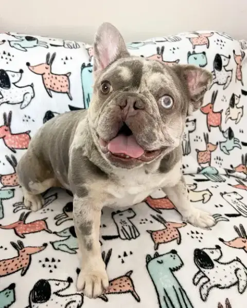 Mabel photo 4