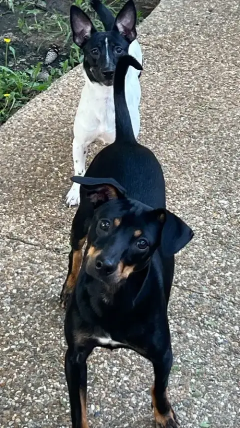 Nacho photo 3