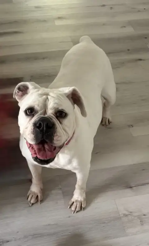 Khloe