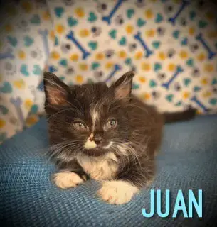 Juan photo 3