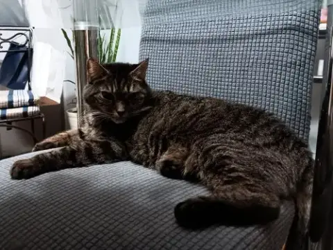 Elinor photo 2