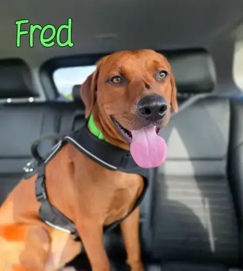 Fred photo 3