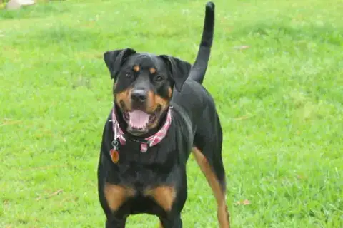 Maggie photo 5