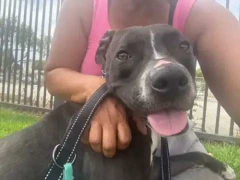 Nala photo 2