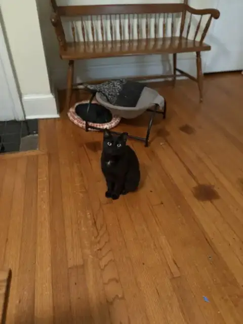 Pepper photo 3