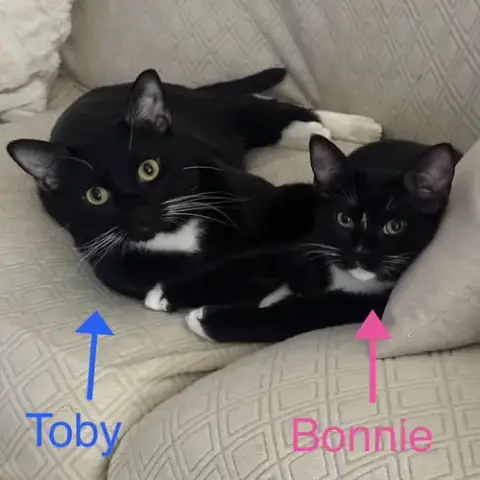 Toby & Bonnie
