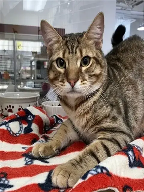 William