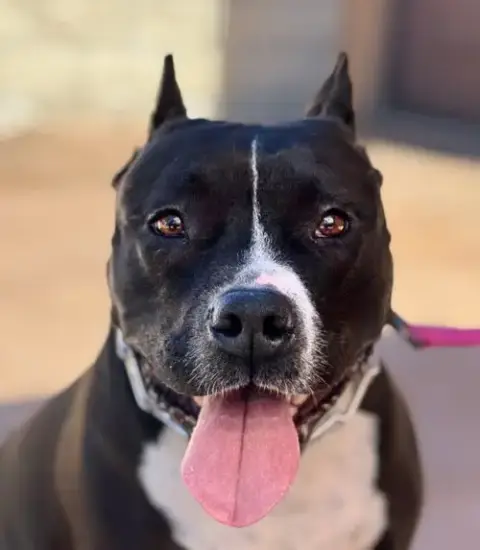 Rosie