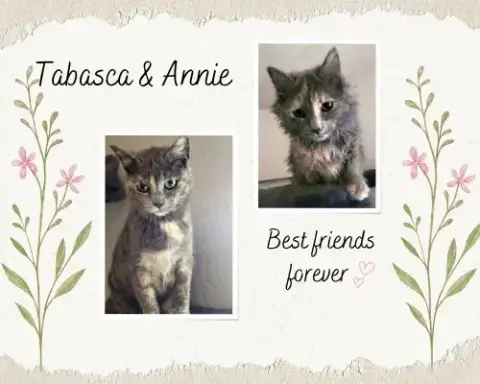 Tabasca And Annie