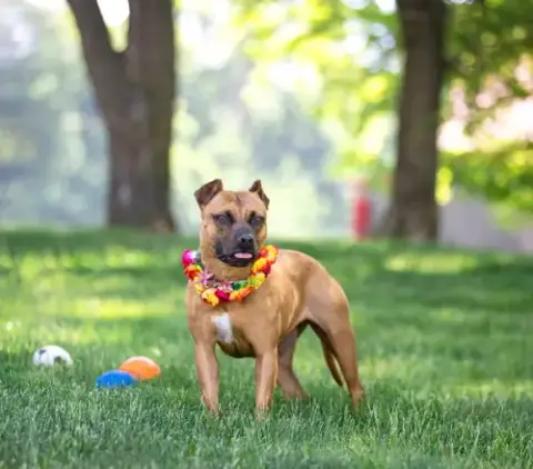 Ella photo 5