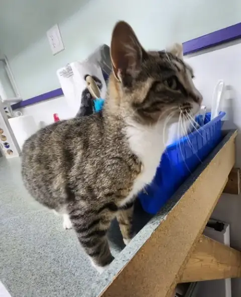 Missy Mae photo 3