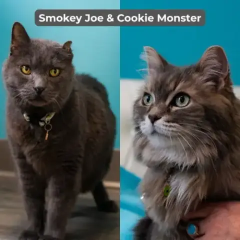 Smokey Joe / Cookie Monster