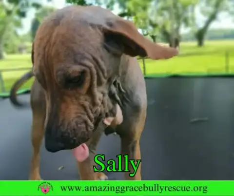 Sally 2 photo 2