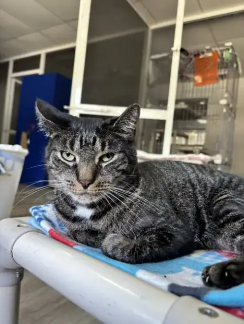 Ernie