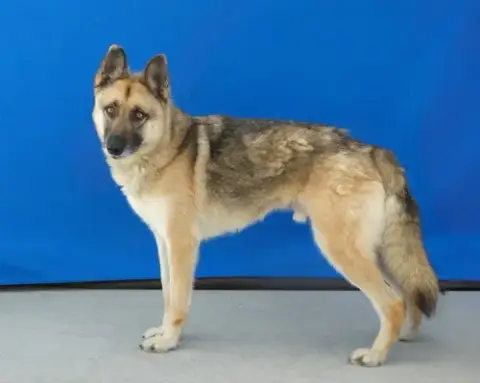 Axel photo 2