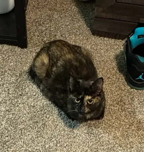 Cleo