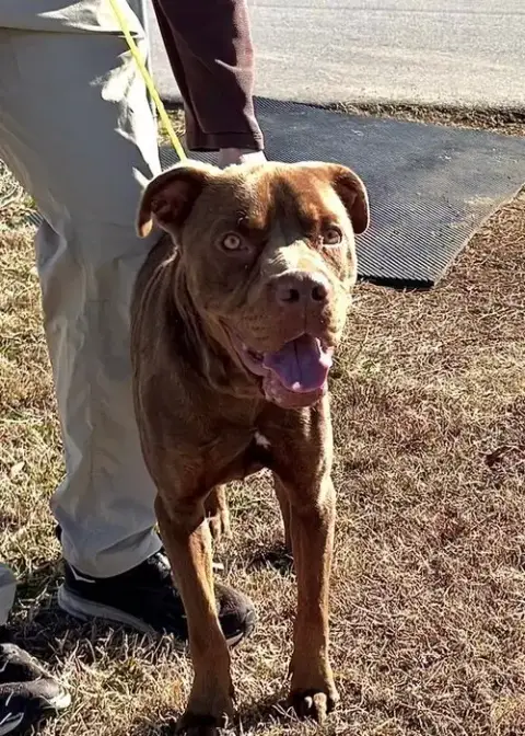 Buddy photo 4