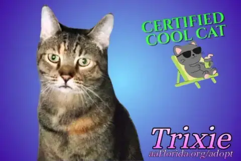 Trixie photo 4