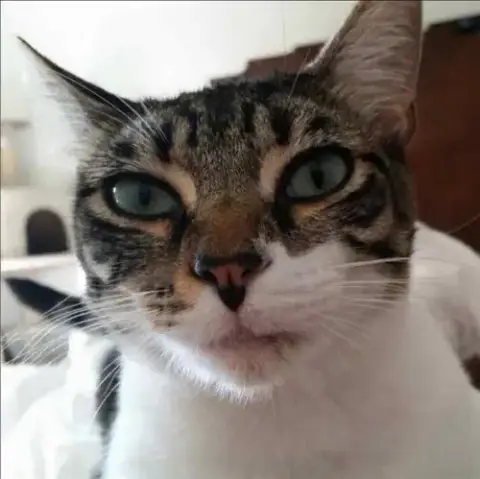 Audrey photo 2