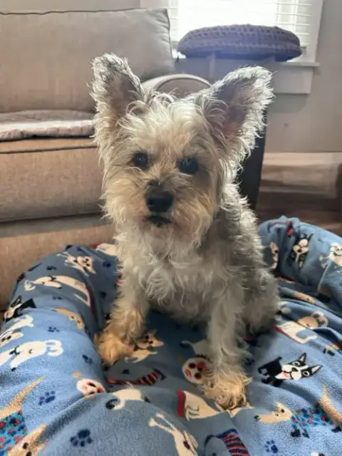 Oscar photo 2