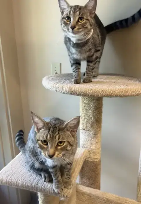 Duncan & Butters photo 2