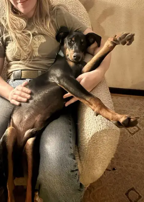 Louie photo 3