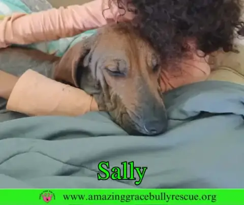 Sally 2 photo 3