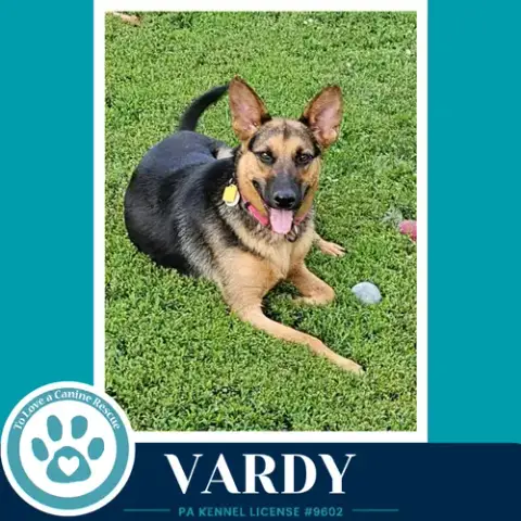 Vardy 041826