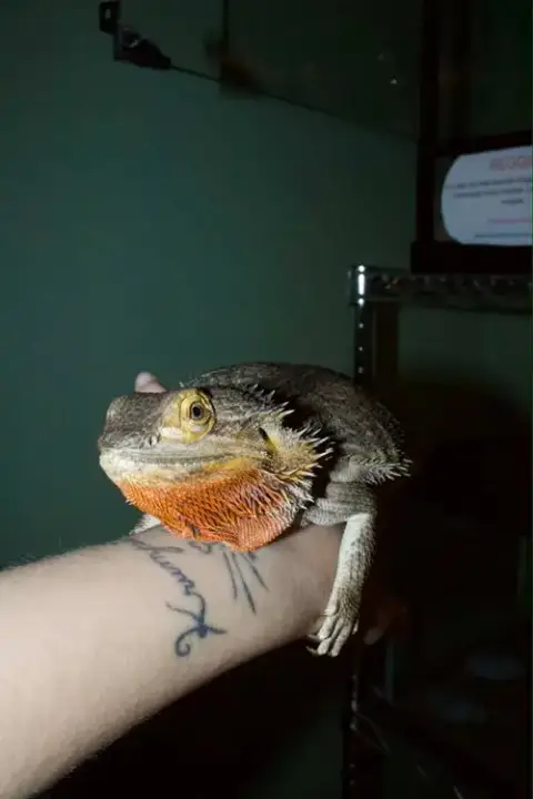 Reggie photo 2