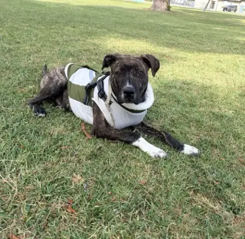 Lennox photo 3
