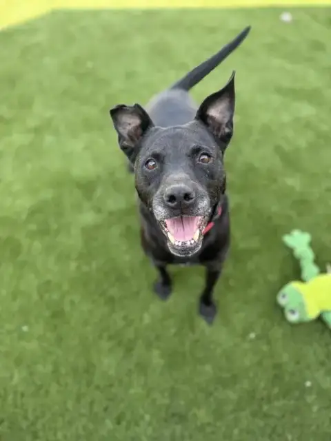Zeus photo 4