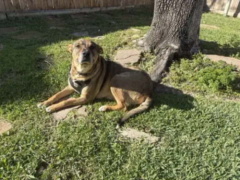 Rosie-Posie photo 5
