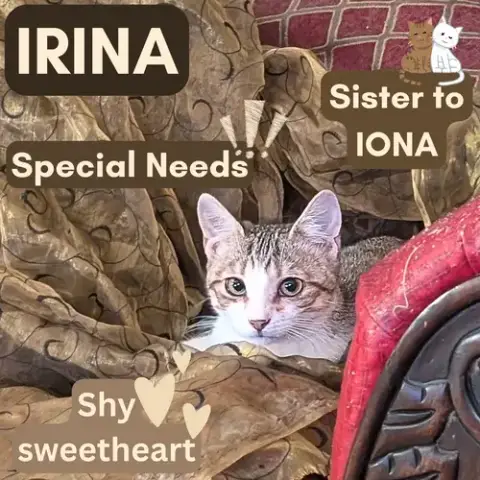 Irina photo 2