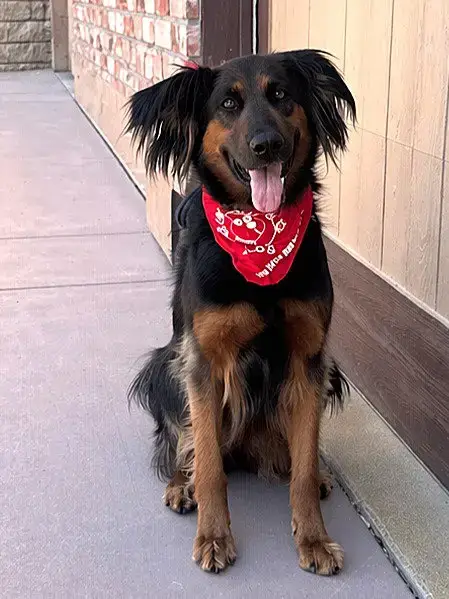 Daisy Ann photo 3